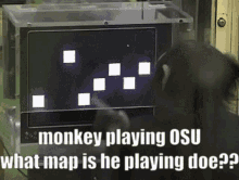 Susz Monkey GIF