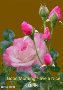a pink rose with the words good morning have a nice day glenn on the bottom