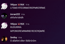 a screenshot of a conversation between smiley and 1alya