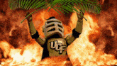 Ucf Fire Fronds Knightro GIF