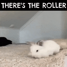 Bunny Roller GIF - Bunny Roller Theres The Roller GIFs