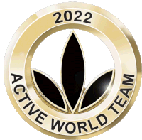 Awt2022 Active World Team Pin Sticker - Awt2022 Active World Team Pin Awt Stickers
