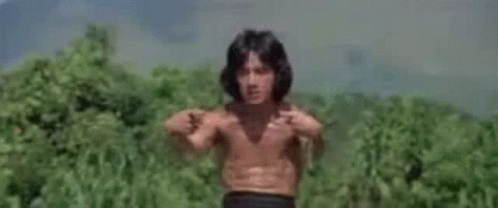 jackie chan fighting stance