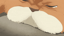 a close up of a cat 's face with a white nose