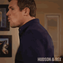 What Do You Think Charlie Hudson GIF - What Do You Think Charlie Hudson Hudson And Rex GIFs
