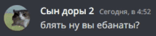 a gray background with a picture of a cat and the words сын доры 2 сегодня 4:52