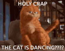 Funny Cat GIF - Funny Cat Garfield GIFs