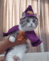 Komaru Cat GIF - Komaru Cat Magic GIFs