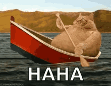 boating canoeing fat cat