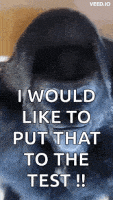 a gorilla is saying i would like to put that to the test !