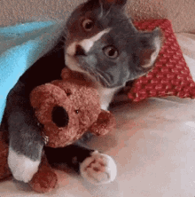 Feliz Dia Dos Namorados / Gato Abraçando Ursinho GIF
