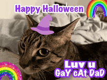 a cat wearing a witch hat with the words " happy halloween luv u gay cat dad "