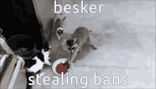 Besker Cps GIF - Besker Cps Carry People Simulator GIFs