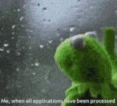 a kermit the frog looking out a window with the words me when all applications have been processed