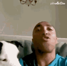 Howling The Pet Collective GIF - Howling The Pet Collective Dog GIFs