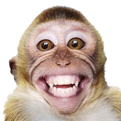Hehehe Monkey Sticker - Hehehe Monkey Smiling Stickers