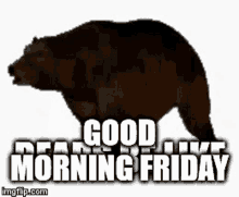 Good Morning Friday GIF - Good Morning Friday Bear GIFs