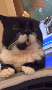 a black and white cat with its mouth open and its tongue sticking out