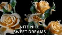 Nite Sparkles GIF - Nite Sparkles Sweet Dreams GIFs