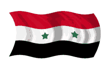 syrian flags