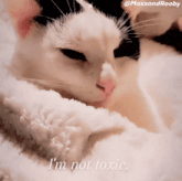 a black and white cat laying on a white blanket with the words i 'm not toxic below it