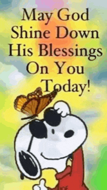 snoopy with a butterfly on his head and the words `` may god shine down his blessings on you today ! ''