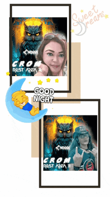 a picture of a woman and an owl with the words good night