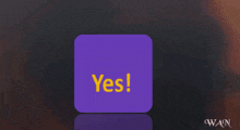 three purple squares with yellow text that says yes