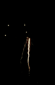 Fireworks Fourth Of July GIF - Fireworks Fourth Of July Independence Day GIFs