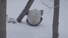 Panda Snow GIF - Panda Snow Rolling GIFs