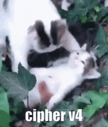 a couple of cats are laying on top of each other in the leaves .