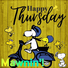 Happy Thursday Mawnin GIF - Happy Thursday Mawnin GIFs