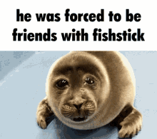 fishstick itsfishstick murrcord bowserfart forced to be friends with fishstick