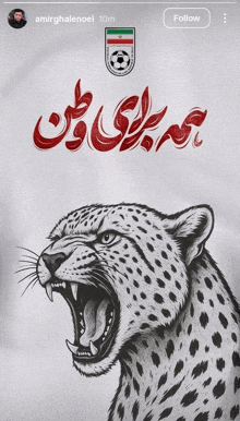 a drawing of a leopard with a soccer ball on it