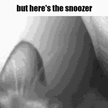 Snooze Cat GIF - Snooze Cat But Heres The GIFs