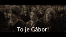 Dano Drevo Gábor GIF - Dano Drevo Gábor To Je Gábor GIFs