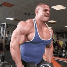 Muscle Alexey GIF