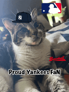 a cat with a yankees hat on its head and proud yankees fan written below it