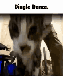 Dingle Quandale Dingle GIF - Dingle Quandale Dingle Dingle Dance GIFs