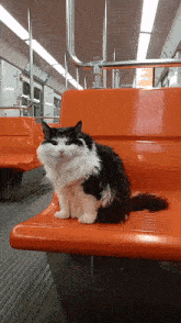 a black and white cat is sitting on an orange seat on a subway train