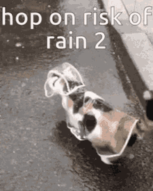 Hop On GIF - Hop On Risk Of Rain2 GIFs