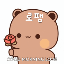 a teddy bear is holding a rose and says good morning love in korean