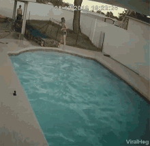 Diving Dog GIF - Diving Dog Dock GIFs