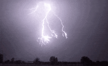 Thunder Thunderstorm GIF - Thunder Thunderstorm Lightning GIFs