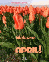 Welcome April Spring GIF
