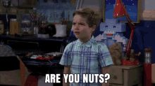 Are You Nuts? GIF - Fuller House Fuller House Gi Fs Are You Nuts GIFs
