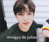 Mingyu Seventeen GIF - Mingyu Seventeen Julian GIFs