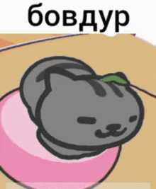 a cartoon cat is laying on a pink pillow with the word bovdur written above it