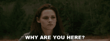 Why Are You Here Bella Swan GIF - Why Are You Here Bella Swan Kristen Stewart GIFs