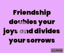Friendship Doubles Your Joys GIF - Friendship Doubles Your Joys Divides Your Sorrows GIFs